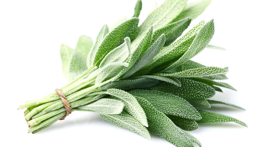 The Best Substitutes for Sage Spice