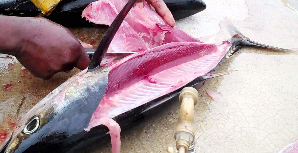 7 Best Fillet Knives for Saltwater Fish 2022